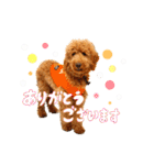 Smoky（スモーキー）（個別スタンプ：8）