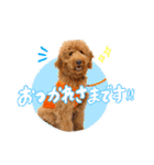 Smoky（スモーキー）（個別スタンプ：9）