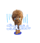Smoky（スモーキー）（個別スタンプ：11）