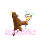 Smoky（スモーキー）（個別スタンプ：12）