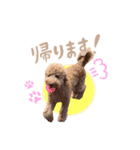 Smoky（スモーキー）（個別スタンプ：14）