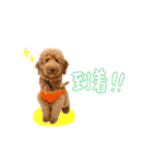 Smoky（スモーキー）（個別スタンプ：15）