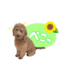 Smoky（スモーキー）（個別スタンプ：21）
