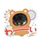 ちわわのこじゆきももむさ（個別スタンプ：9）