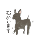 うちの犬、さくや。（個別スタンプ：4）