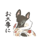 うちの犬、さくや。（個別スタンプ：13）