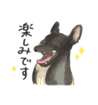 うちの犬、さくや。（個別スタンプ：15）