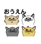 I LOVE CAT. BABY（個別スタンプ：21）