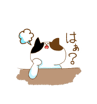 毎日ドキドキねこ（個別スタンプ：17）