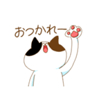 毎日ドキドキねこ（個別スタンプ：19）