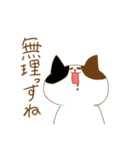 毎日ドキドキねこ（個別スタンプ：31）