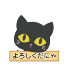 【毎日使える】黒猫ちゃん（個別スタンプ：10）