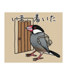 文鳥の日常スタンプ 8 by oishiano（個別スタンプ：8）