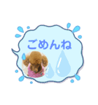 ぷーどるのアリスの日常（個別スタンプ：6）