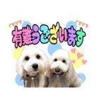 日常会話（チャッピー＆ムック）（個別スタンプ：16）