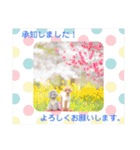 えいるいワンコ2（個別スタンプ：3）