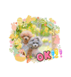 えいるいワンコ2（個別スタンプ：4）