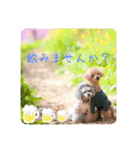 えいるいワンコ2（個別スタンプ：8）