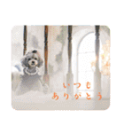 えいるいワンコ2（個別スタンプ：11）