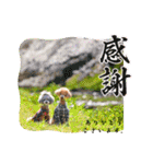 えいるいワンコ2（個別スタンプ：17）