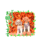 えいるいワンコ2（個別スタンプ：25）