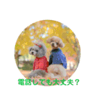 えいるいワンコ2（個別スタンプ：38）