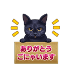 黒猫工房【気持ちを訴える黒猫】（個別スタンプ：13）