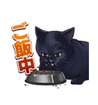 黒猫工房【気持ちを訴える黒猫】（個別スタンプ：16）