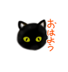 【動く】きみを応援！くろねこちゃん（個別スタンプ：1）