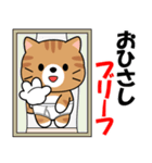 飛び出す！茶トラ猫のダジャレスタンプ（個別スタンプ：11）