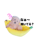 おはぎpart2（個別スタンプ：1）