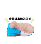 おはぎpart2（個別スタンプ：10）