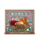 金魚のスタンプ(使える日常会話編)（個別スタンプ：4）