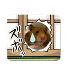 アラレだよ。（個別スタンプ：31）