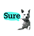 【英語版】真っ白い犬（個別スタンプ：30）