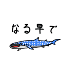 海洋生物たち2（個別スタンプ：31）