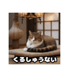 使える！猫スタンプ（個別スタンプ：22）