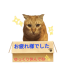 てばさんのきなこスタンプ（個別スタンプ：1）