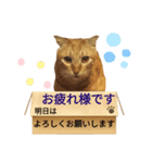 てばさんのきなこスタンプ（個別スタンプ：3）