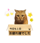 てばさんのきなこスタンプ（個別スタンプ：4）
