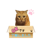 てばさんのきなこスタンプ（個別スタンプ：12）