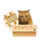 てばさんのきなこスタンプ（個別スタンプ：16）