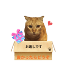 てばさんのきなこスタンプ（個別スタンプ：20）