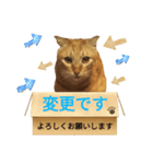 てばさんのきなこスタンプ（個別スタンプ：21）