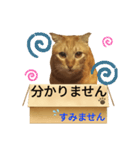 てばさんのきなこスタンプ（個別スタンプ：22）
