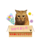 てばさんのきなこスタンプ（個別スタンプ：24）