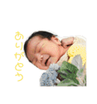 おたからすたんぷ6（個別スタンプ：3）