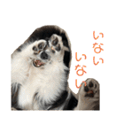 おたからすたんぷ6（個別スタンプ：31）