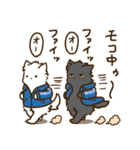 しろもこ3（個別スタンプ：37）