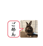 まるで漫画！？げんまいLINEスタンプ（個別スタンプ：3）